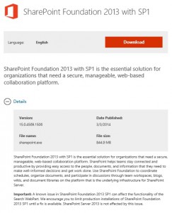 SharePoint Foundation 2013 Search issue