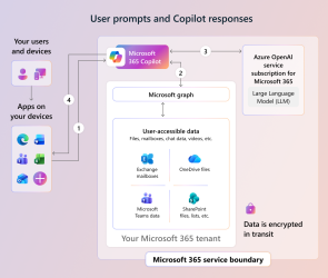 How Microsoft 365 Copilot Uses Your Organizational Data | MS Technology ...